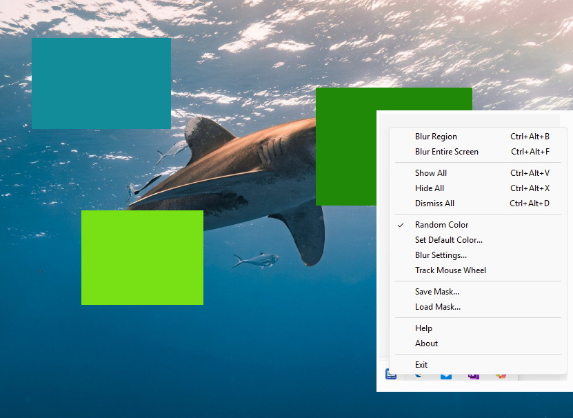 BlurGuard main interface