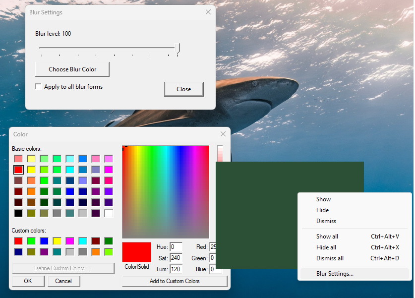 Customizable blur settings